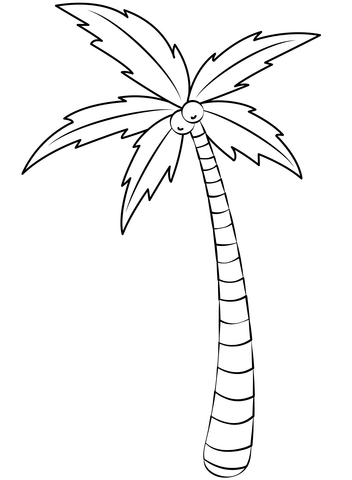 Palm Tree Coloring Page